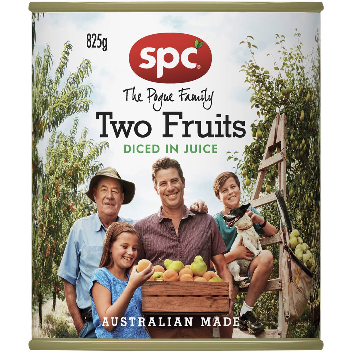 Calories in Spc Two Fruits Diced In Juice Canned Fruit