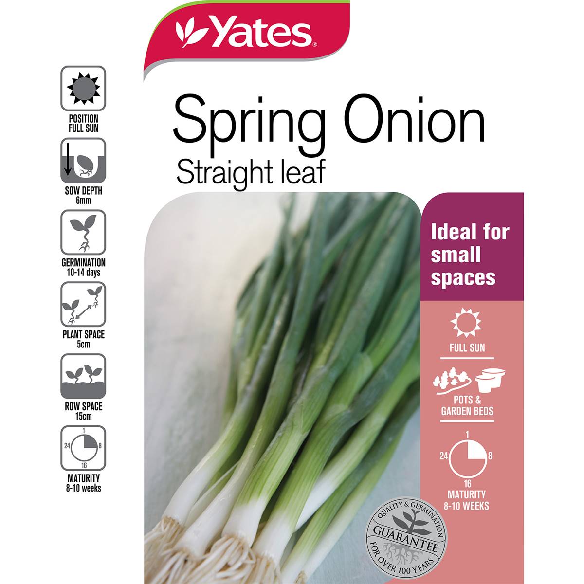 Yates Spring Onions Seeds each