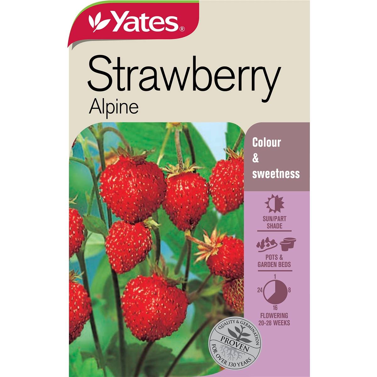 Yates Alpine Strawberry Seeds