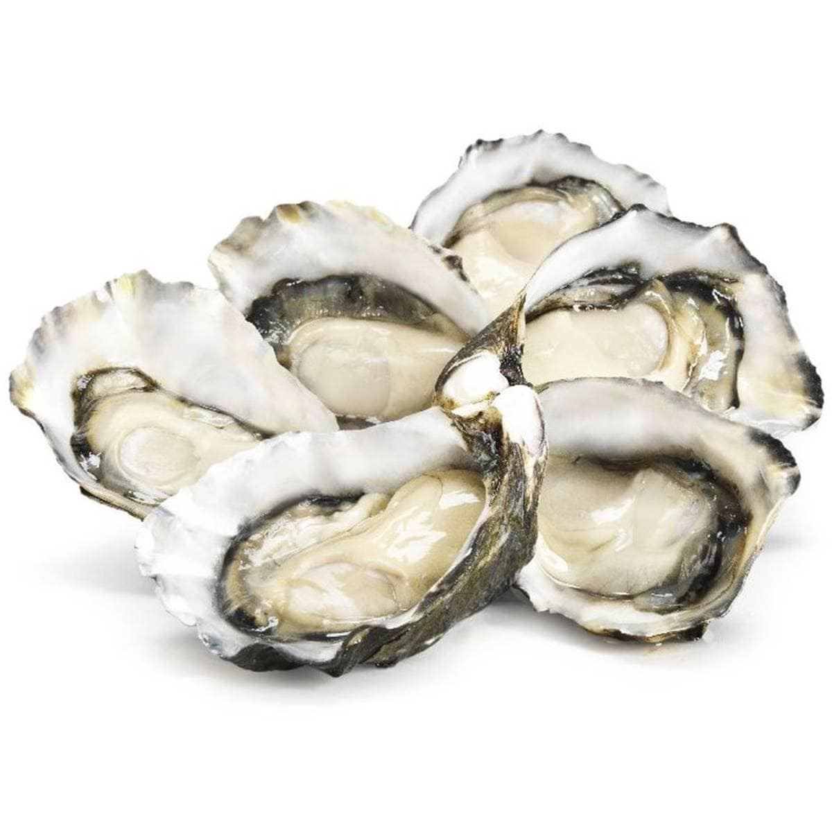 Calories in Woolworths Fresh Pacific Oysters calcount