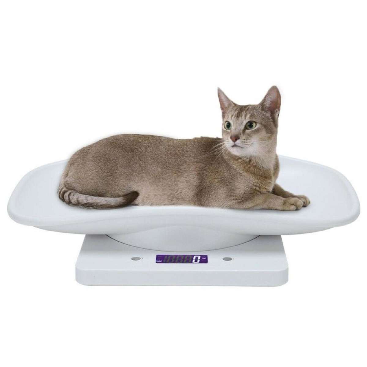 Small Pet Cat Puppy Digital Electronic Weight Tracker Scale - 10kg