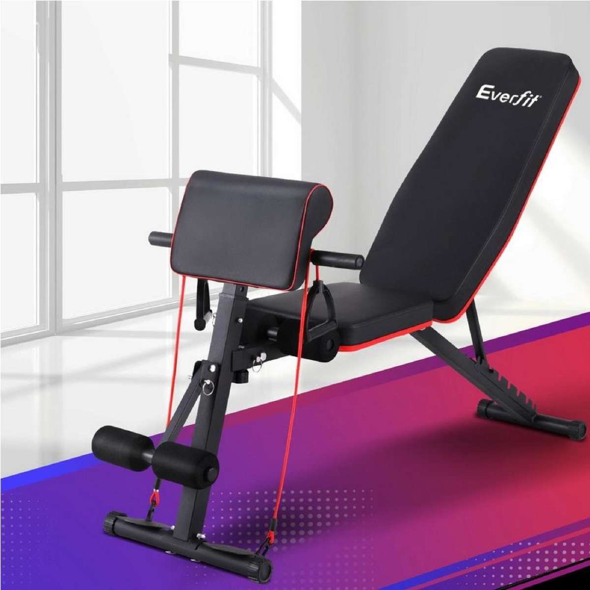 260 kg Capacity Everfit Weight Bench Adjustable Preacher Curl Bench Press Dumbbell Stool