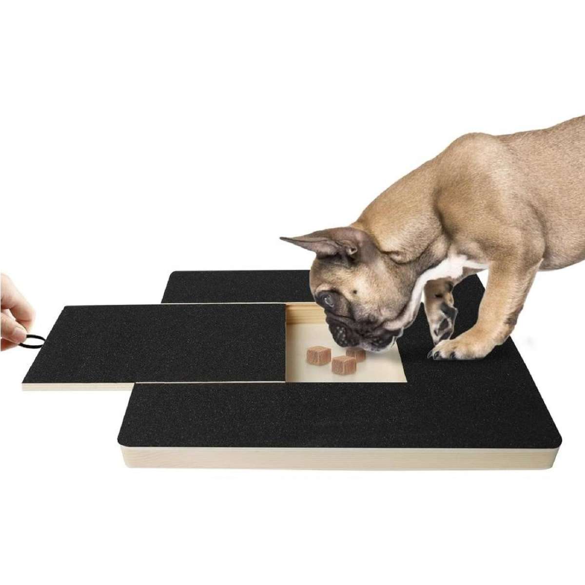 Pet Nail Filing Board for Sensitive Dogs - Paw Scratch Pad