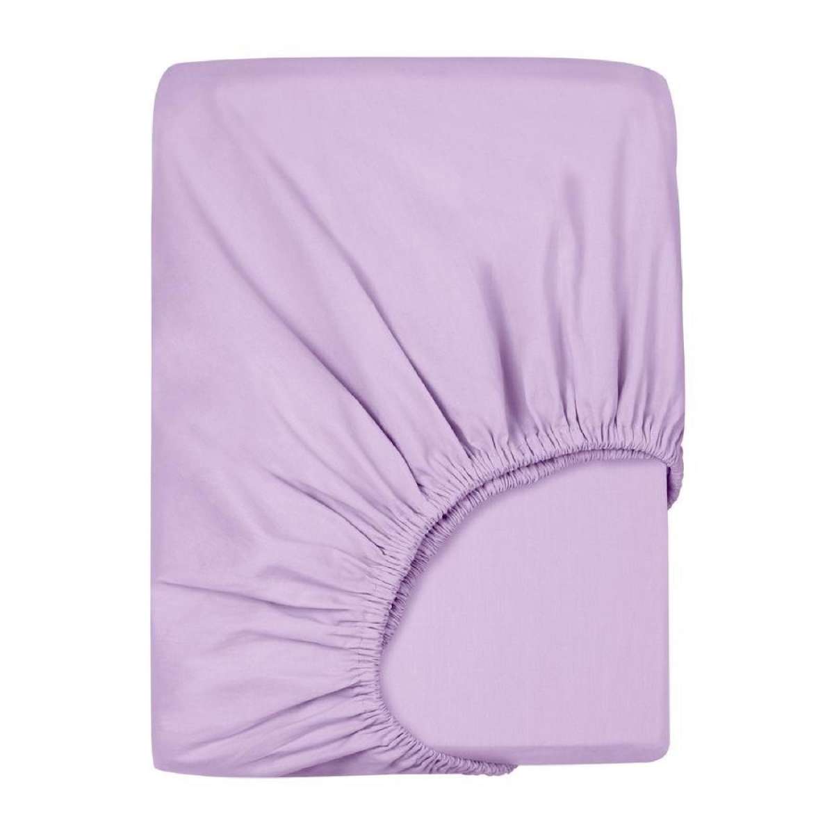 LINENOVA Premium 100% Cotton Fitted Sheet(Queen,Lavender)
