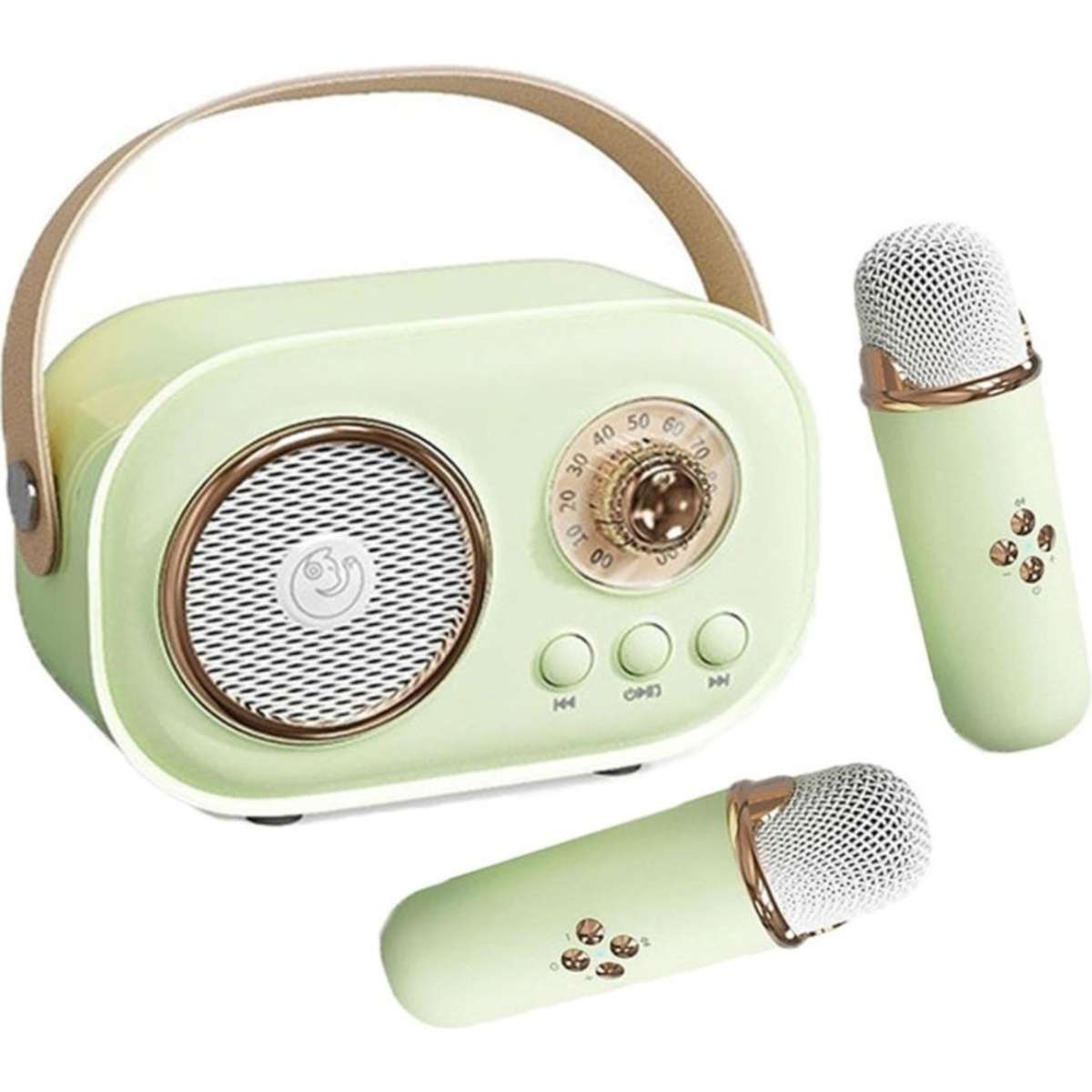 Catzon C20 Mini Karaoke Machine Retro Radio Bluetooth Speaker With 2 Wireless Microphone for Home Party-Green