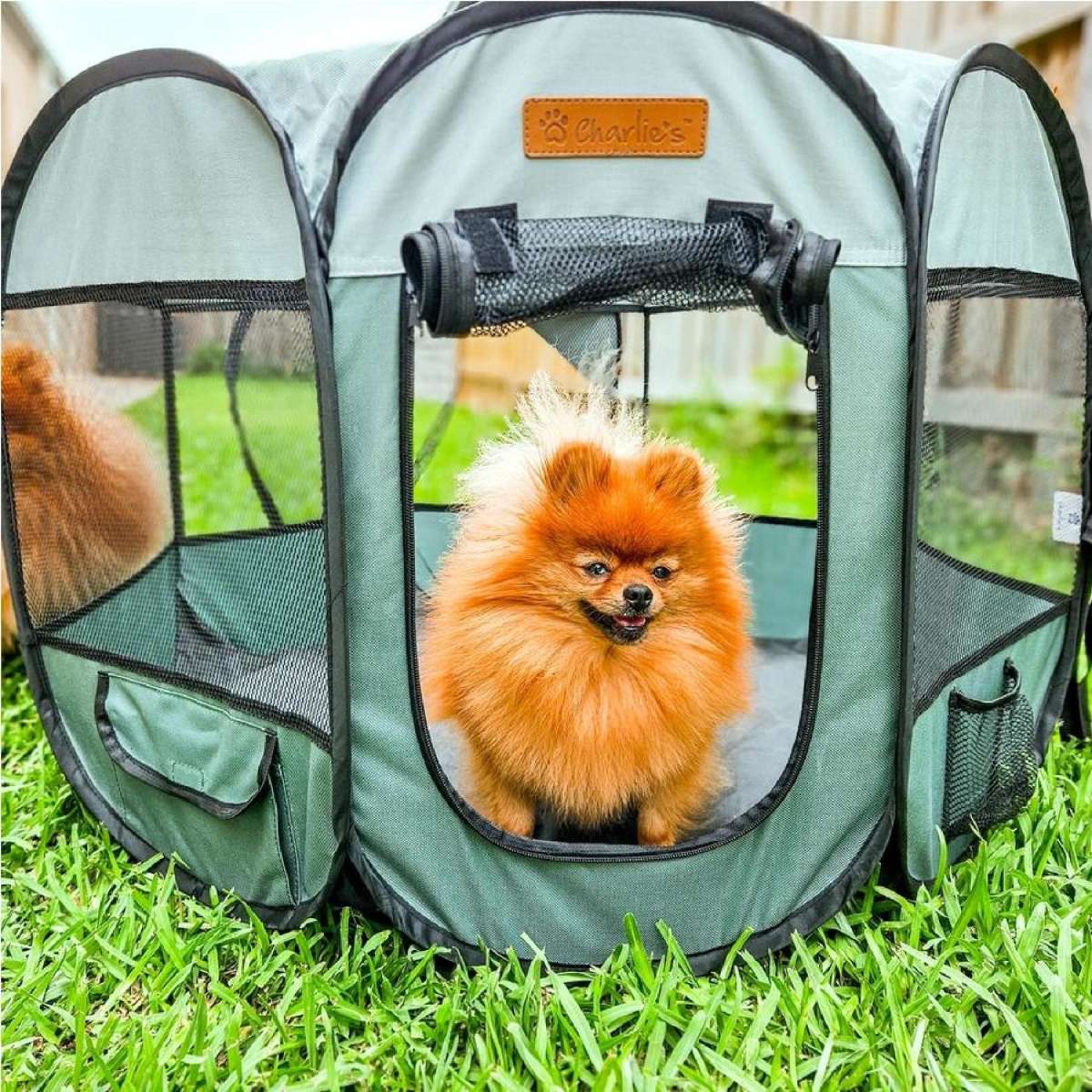 Charlie's Adventure Pet Playpen Foldable Portable Crate Sage (Small, Medium, Large) Small