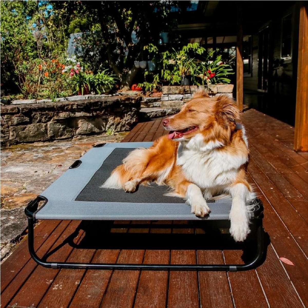 Charlie's Adventure Foldable Travel Trampoline Dog Bed Grey (Large, Extra-Large) Large