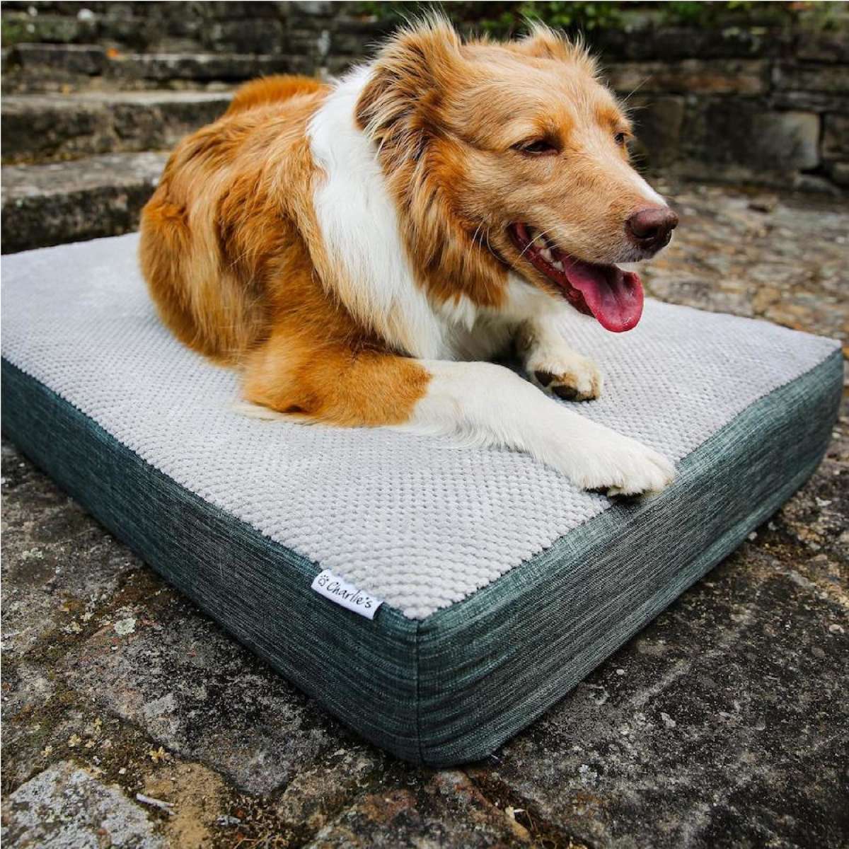 Charlie's Universal Dog Orthopedic Foam Crate Mattress Bed Grey (Small, Medium, Large) Small