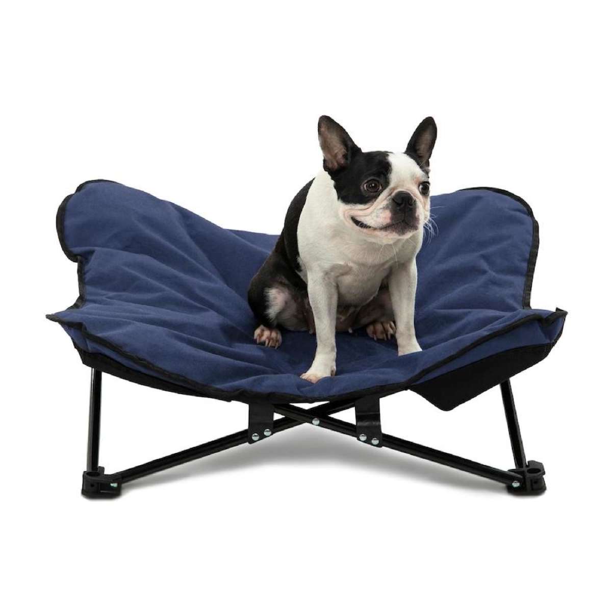 Charlie's Foldable Outdoor Camping Dog Bed Blue (Medium, Large) Large