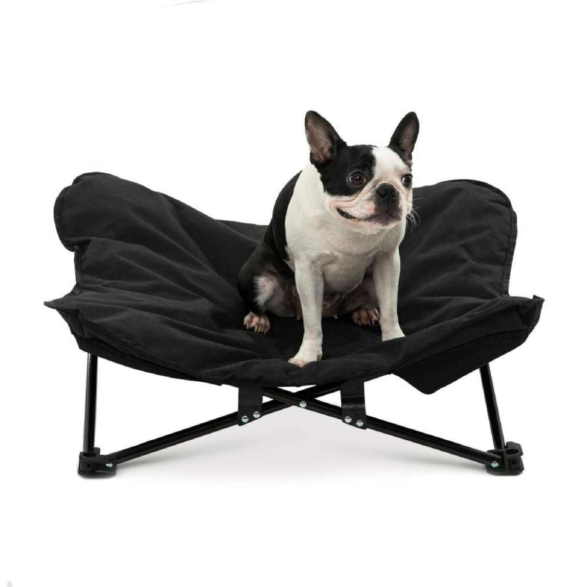 Charlie's Foldable Outdoor Camping Dog Bed Black (Medium, Large) Large