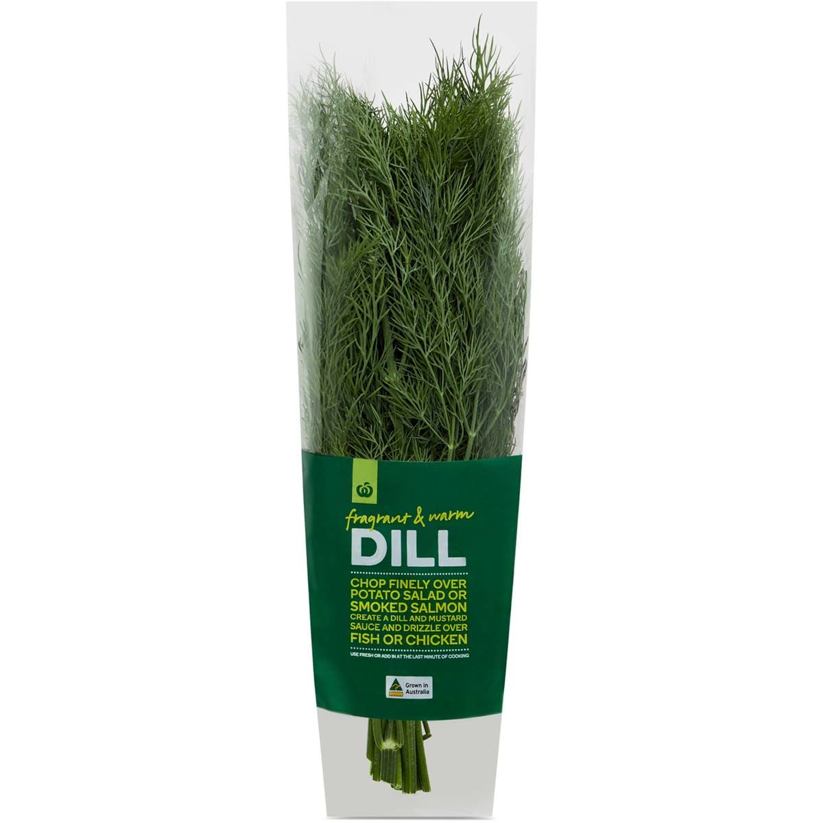 Woolworths Dill Fresh Herb