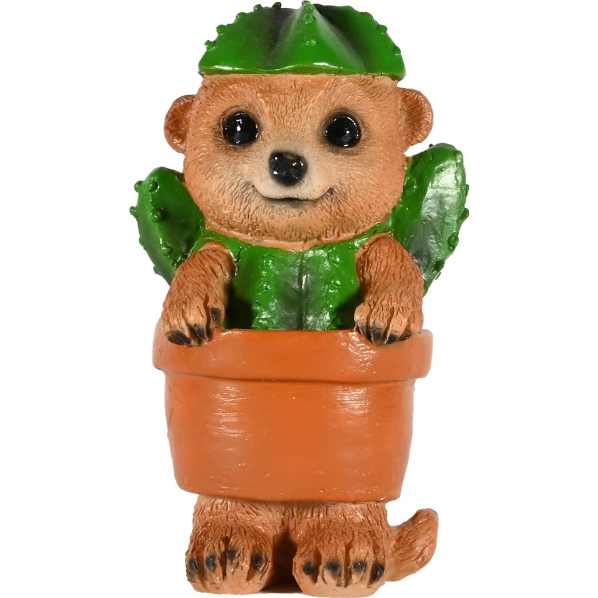 Mirabella Mini Meerkat Violet The Cactus Cactus