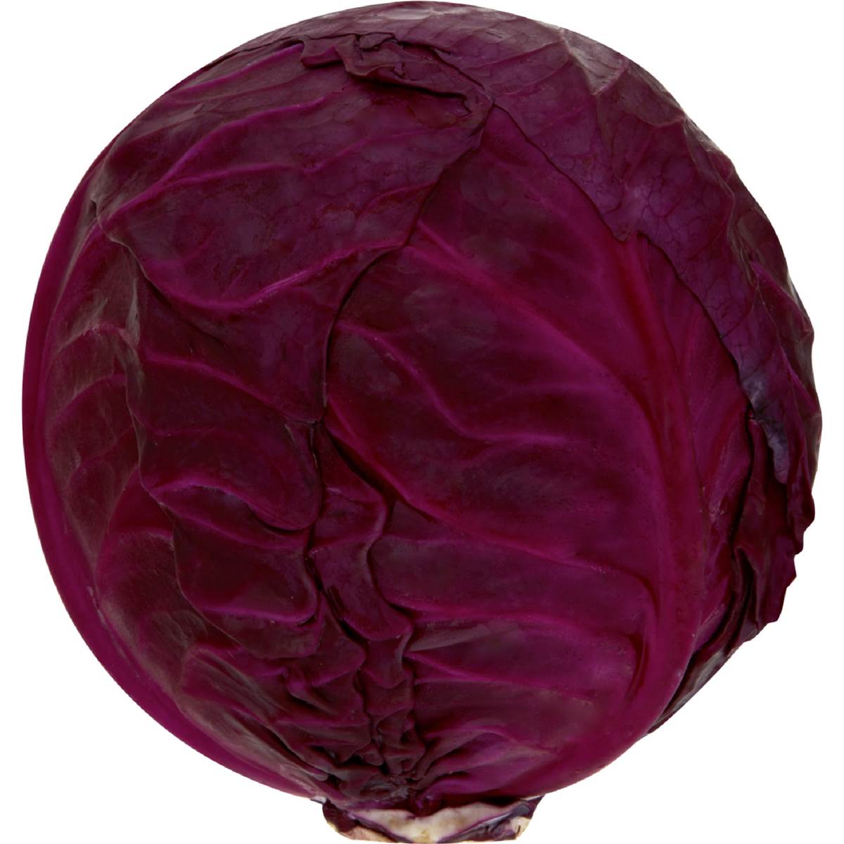Calories in Cabbage Red Calorie Counter Australia