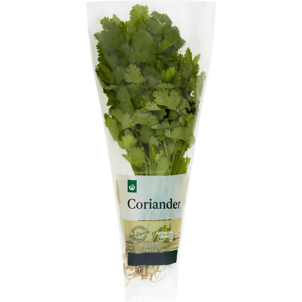 Woolworths Fresh Herb Coriander Bunch each