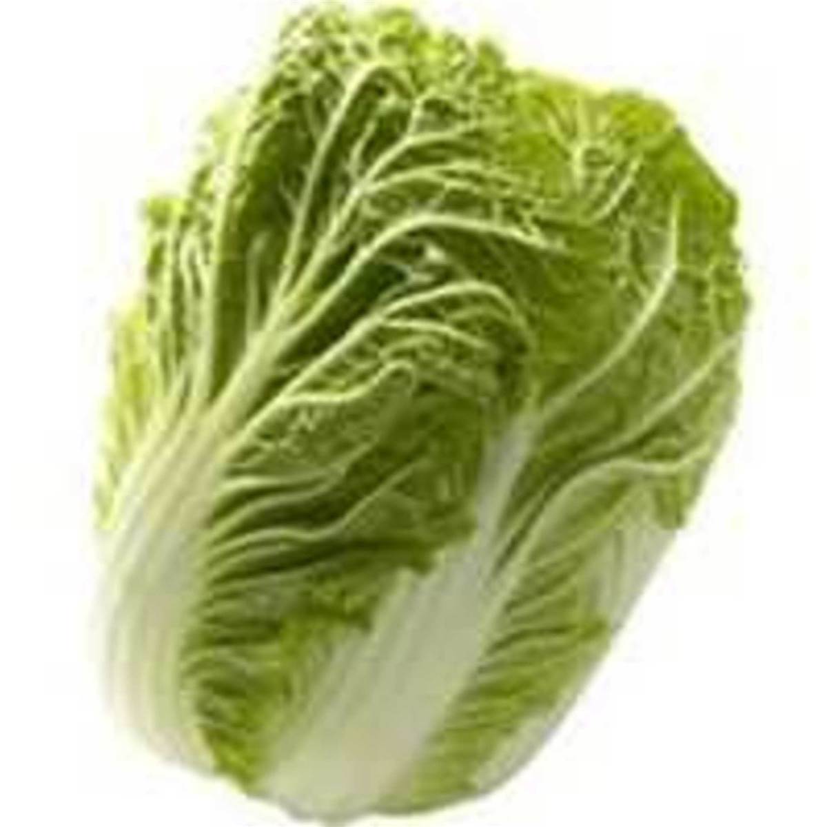 Calories in Cabbage Chinese Wombok
