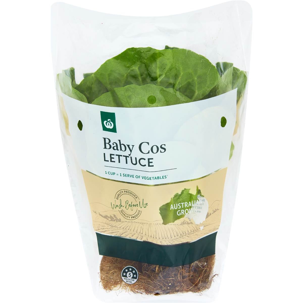 Lettuce Cos Baby each Woolworths