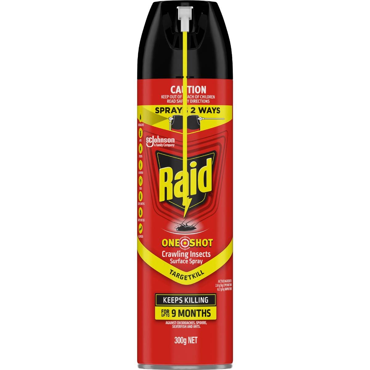 Raid One Shot Crawling Insects Surface Spray
