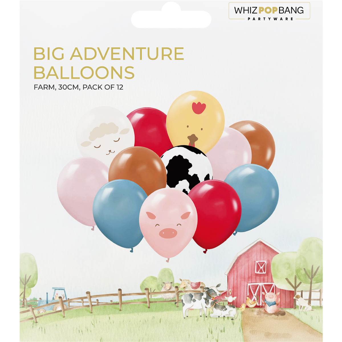 Whiz Pop Bang Themed Balloons Assorted