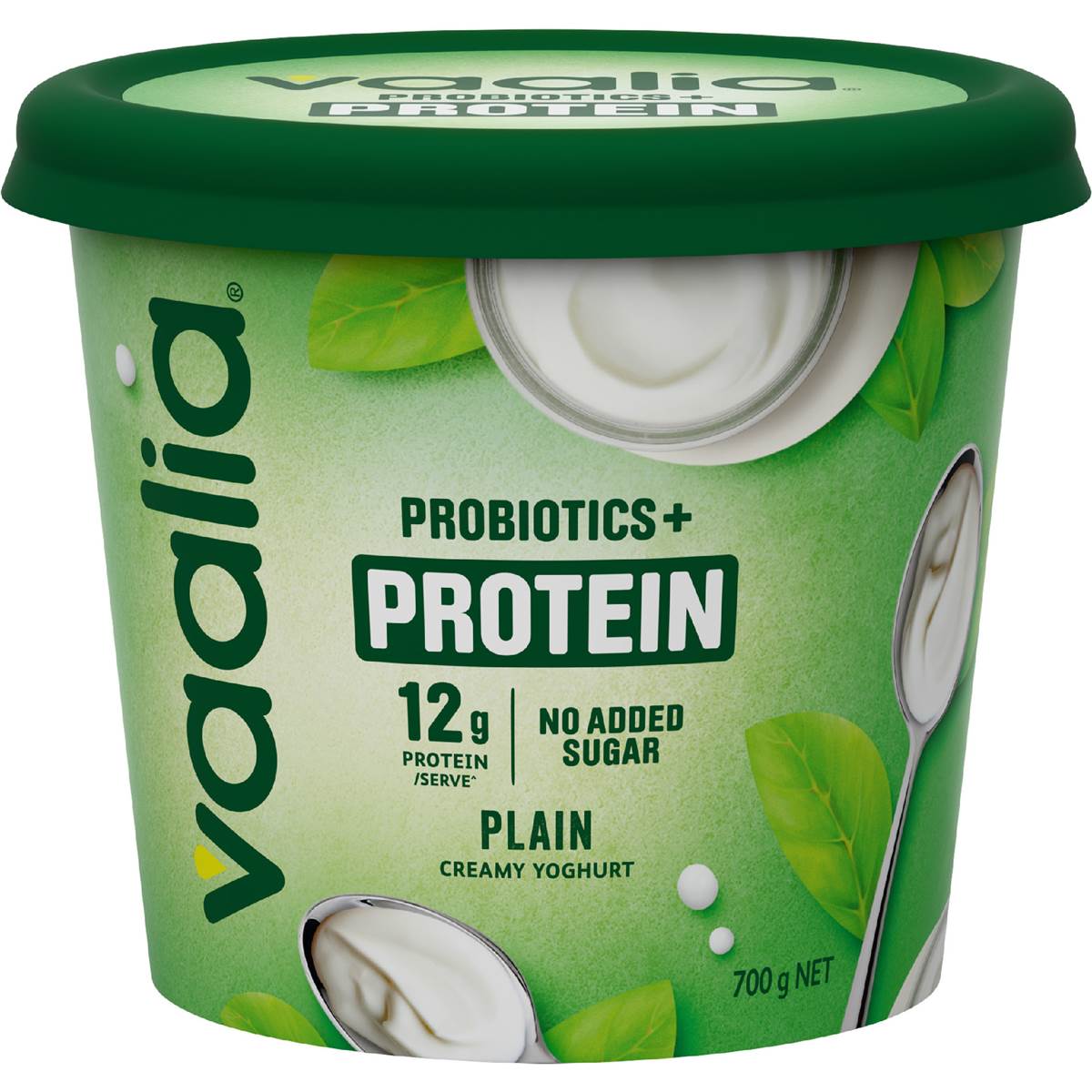 Vaalia Probiotics Protein Creamy Yoghurt Plain