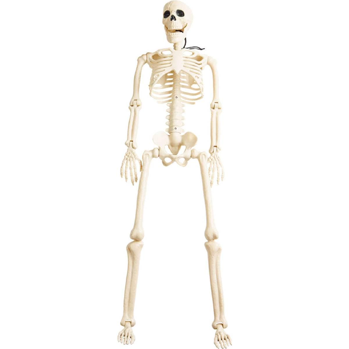 Halloween Large Hanging Skeleton Large