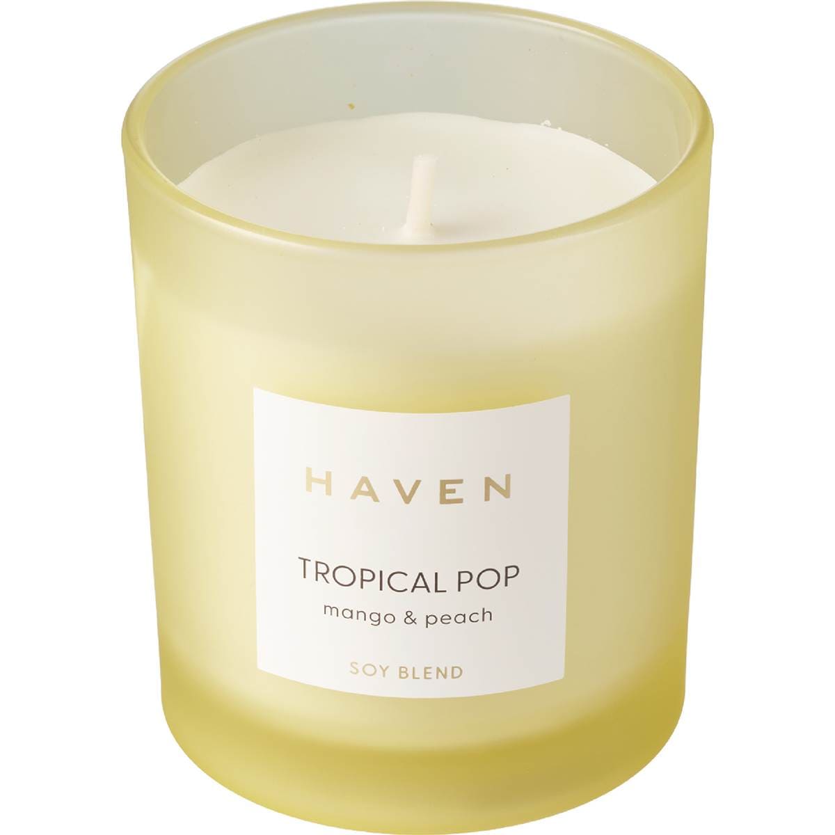 Haven 1 Wick Soy Candle Tropical Pop