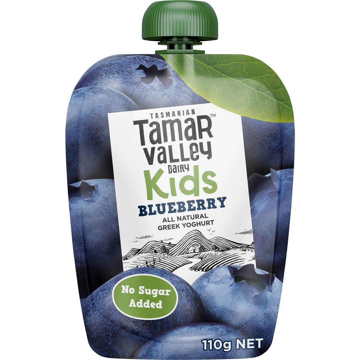 Calories in Tamar Valley Dairy Kids Greek Yoghurt Pouch Blueberry