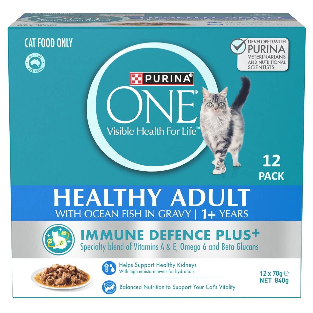 Purina One Wet Cat Food Healthy Adult Ocean Fish In Gravy 70g x 12 pack