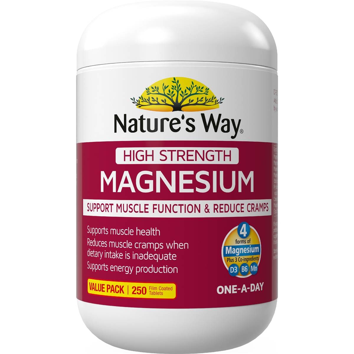Nature's Way High Strength Magnesium Coated Tablets 250 pack