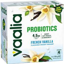 Probiotic Yoghurt French Vanilla