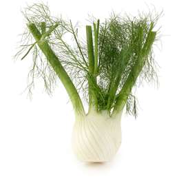 fennel fresh each woolworths