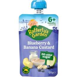 Blueberry & Banana Custard Baby Food Pouch 6+ Months