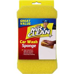 Car Wash Sponge