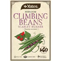 Heirloom Climb Beans