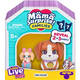 Mama Surprise! Families Toy Assorted