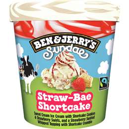 Sundae Straw-Bae Shortcake Ice Cream Tub
